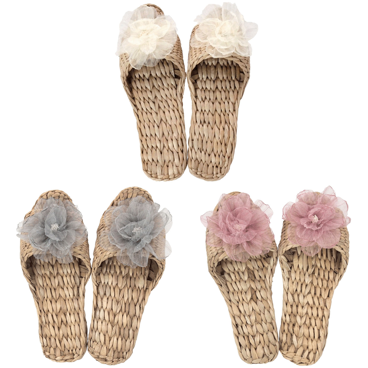 ガマスリッパ エアリーフラワー