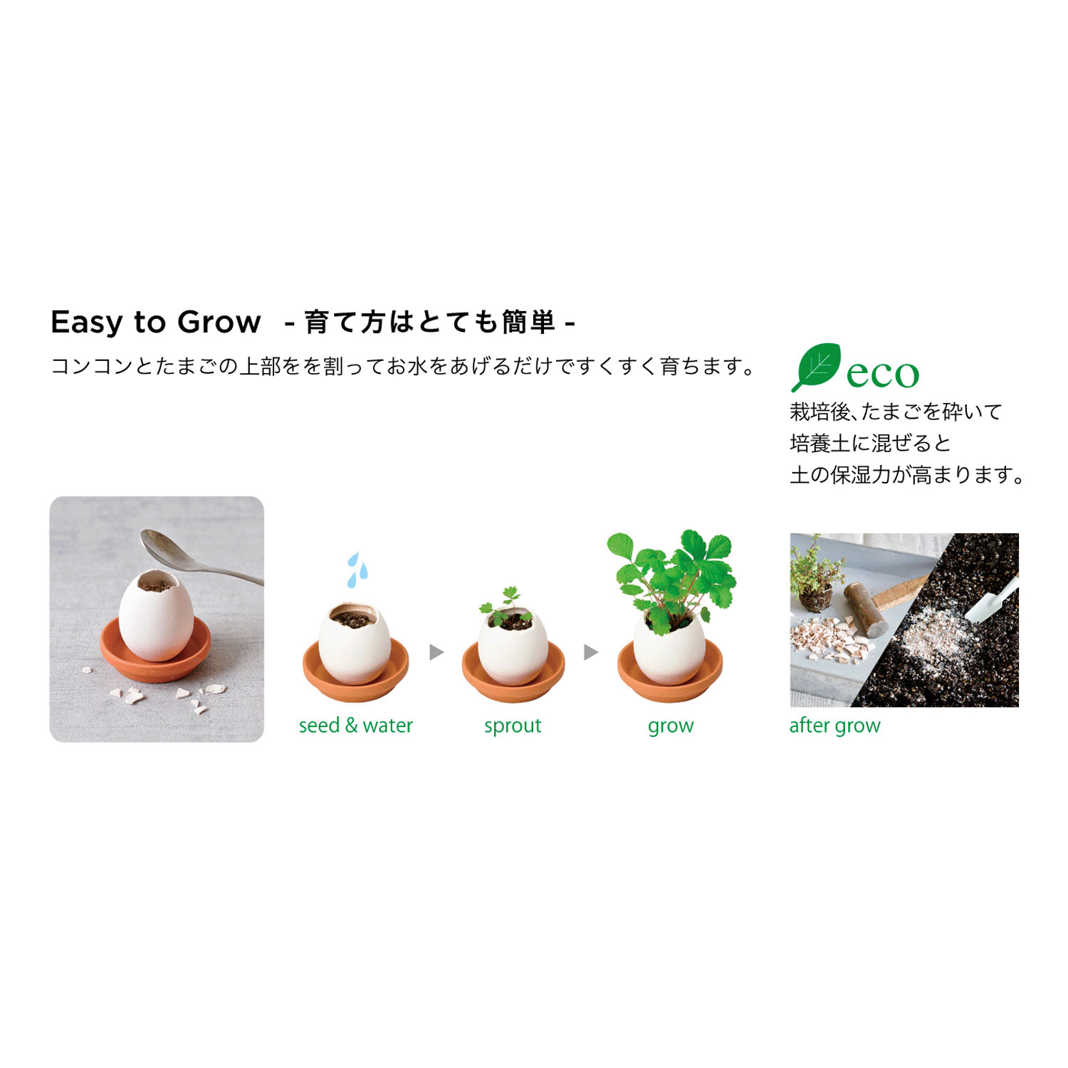 栽培 エッグリング＆ソーサー - 画像2