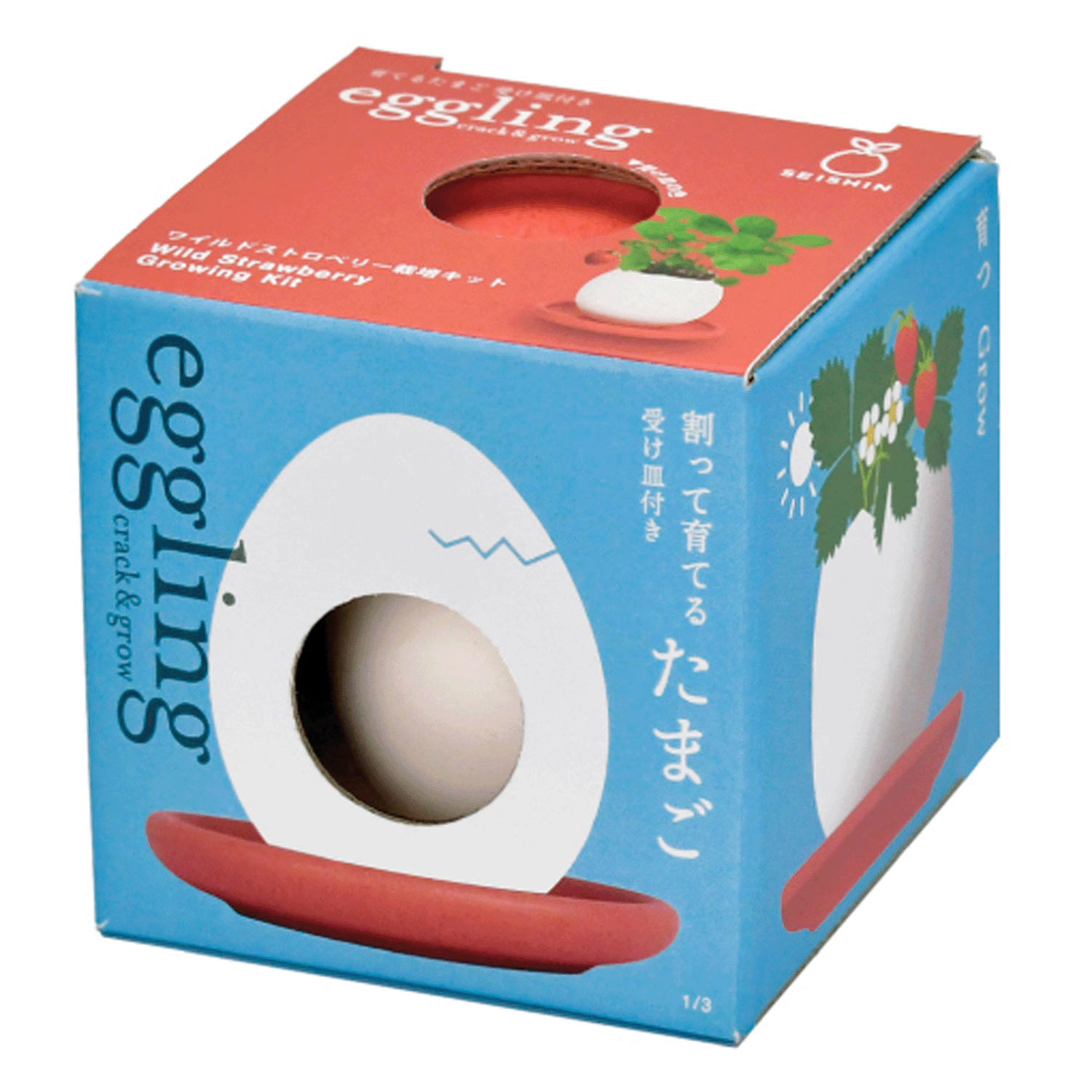 栽培 エッグリング＆ソーサー - 画像11