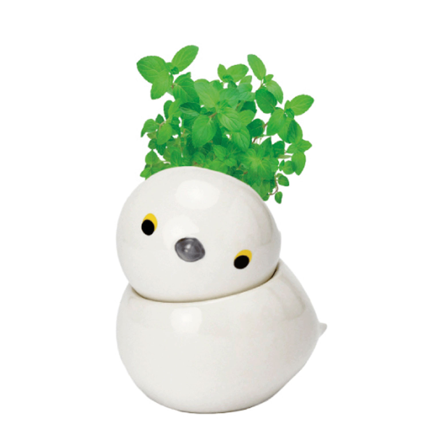 栽培セット コロコロバード - 画像4