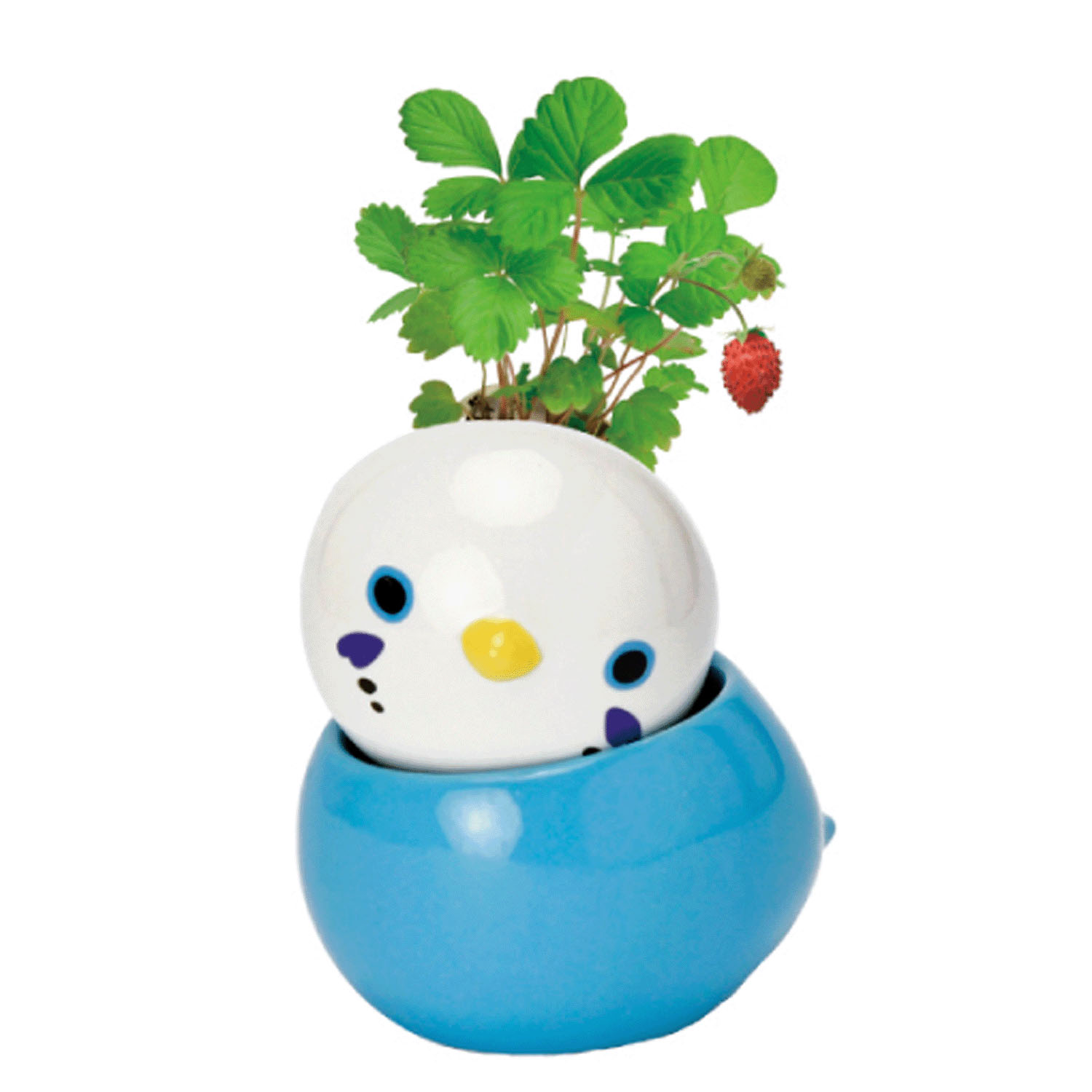 栽培セット コロコロバード - 画像8