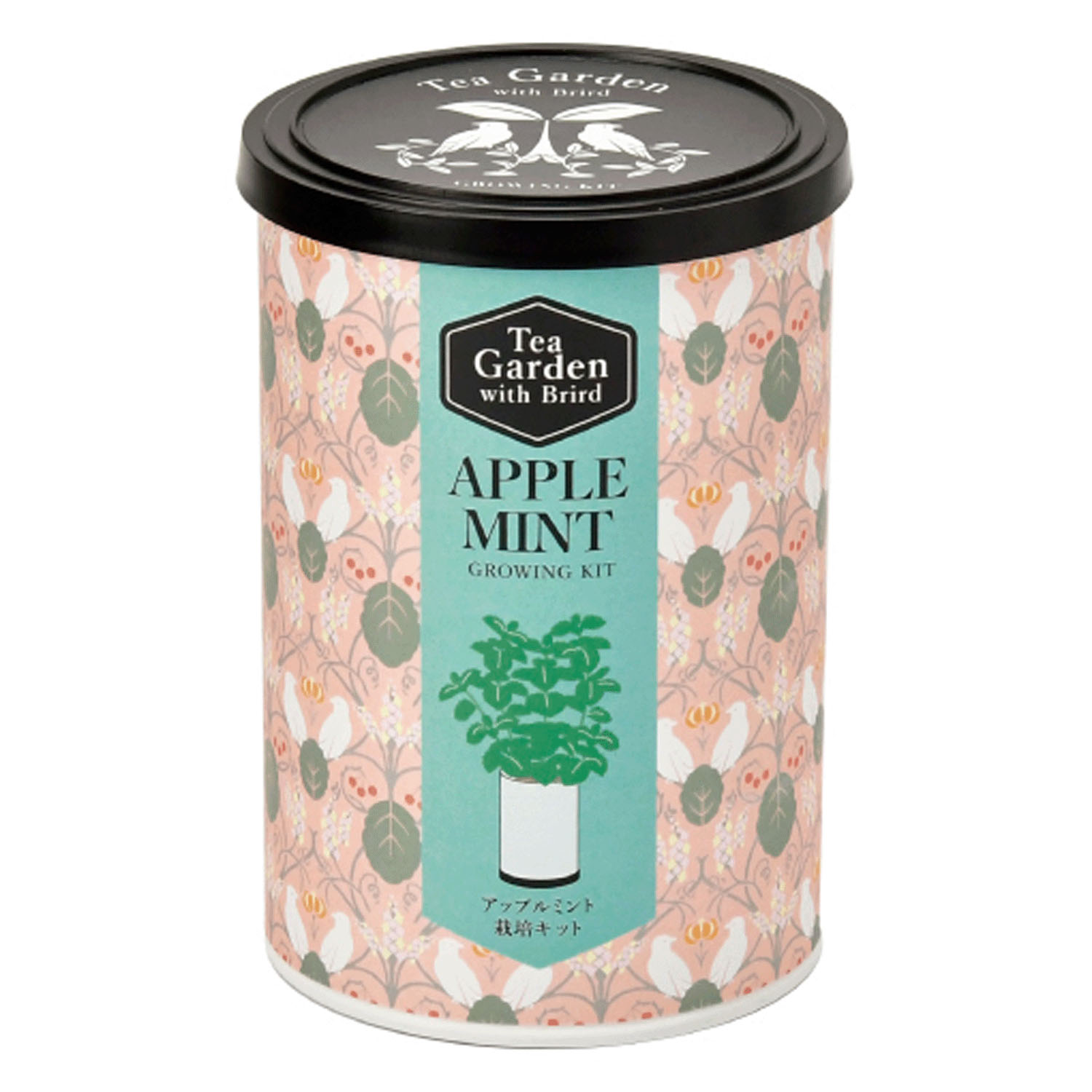 栽培セット ティーガーデン - 画像4