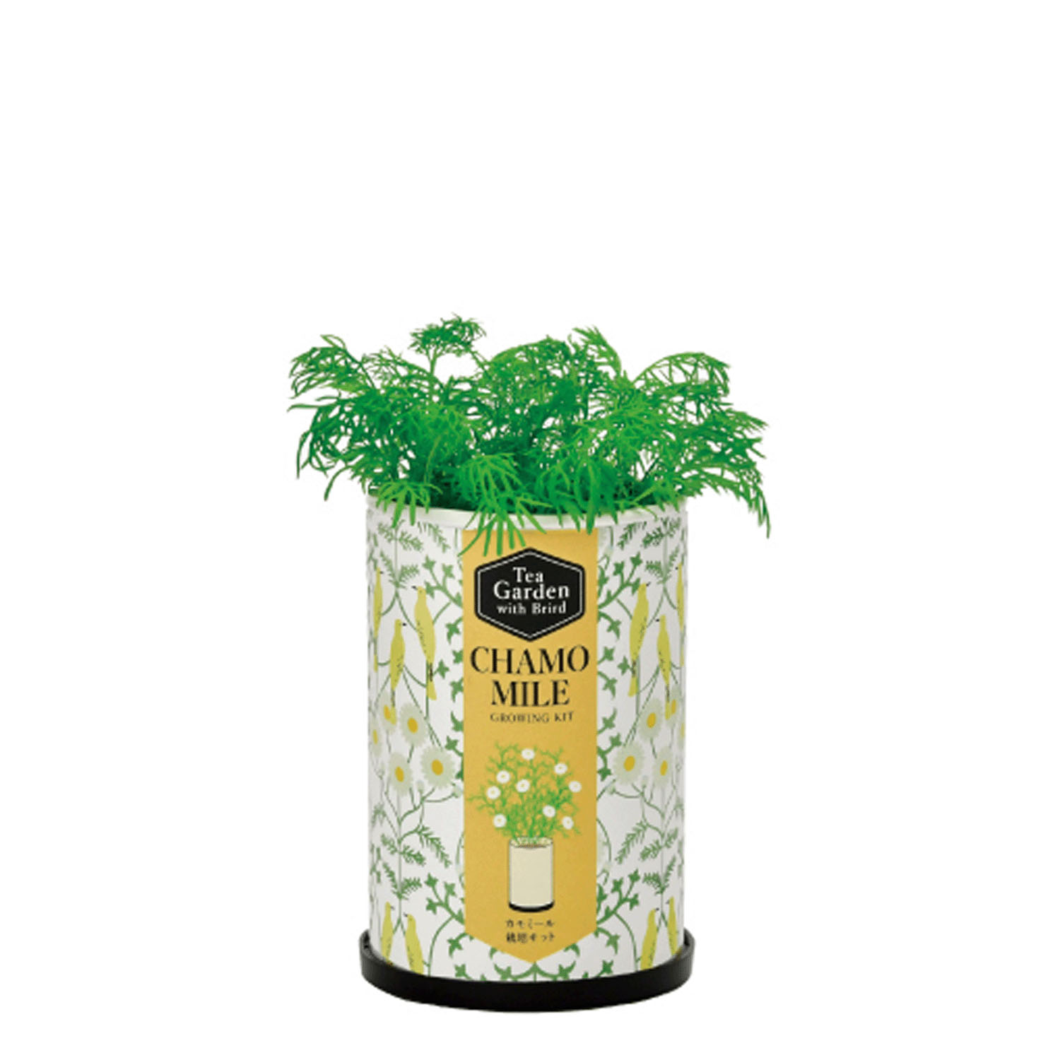 栽培セット ティーガーデン - 画像9