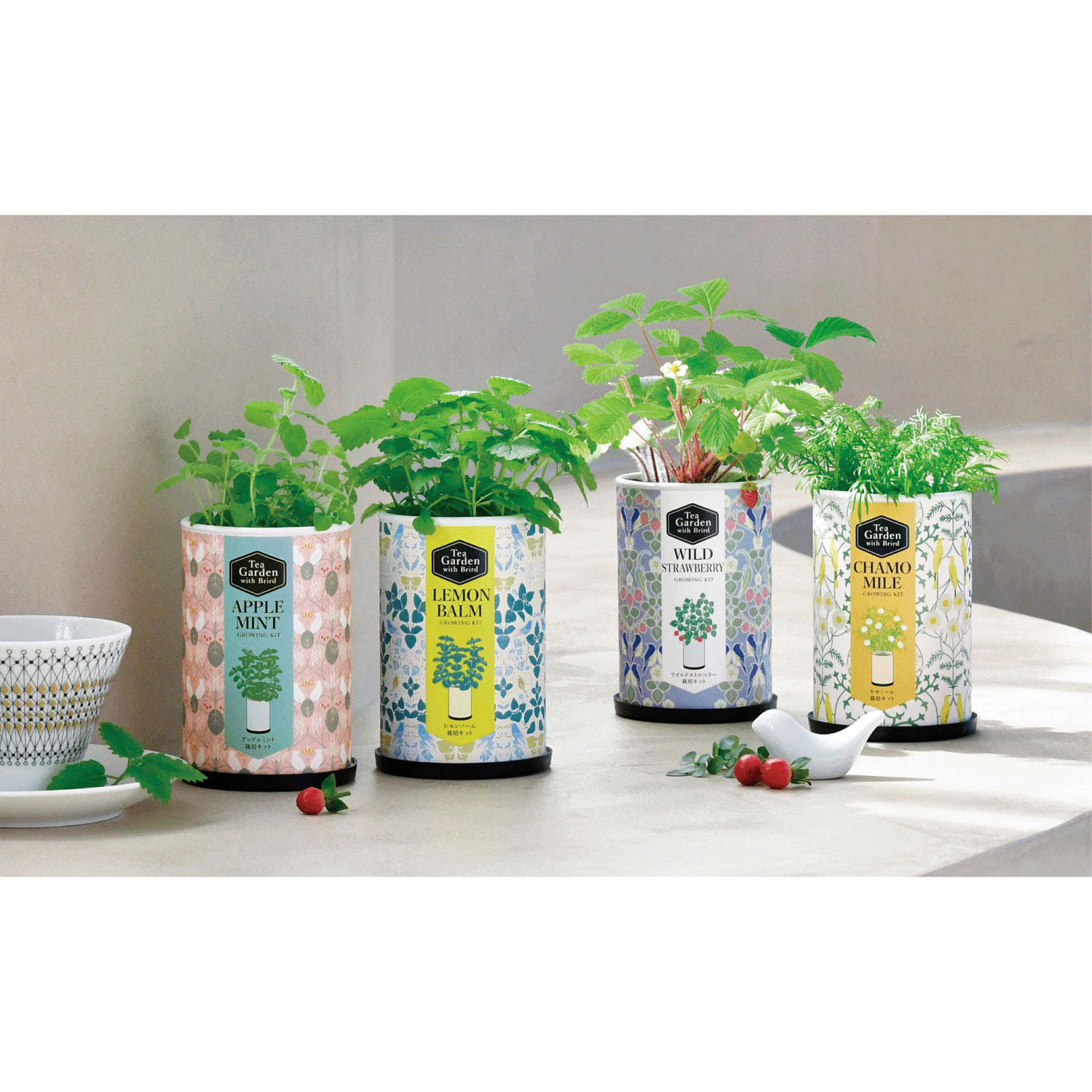 栽培セット ティーガーデン - 画像1
