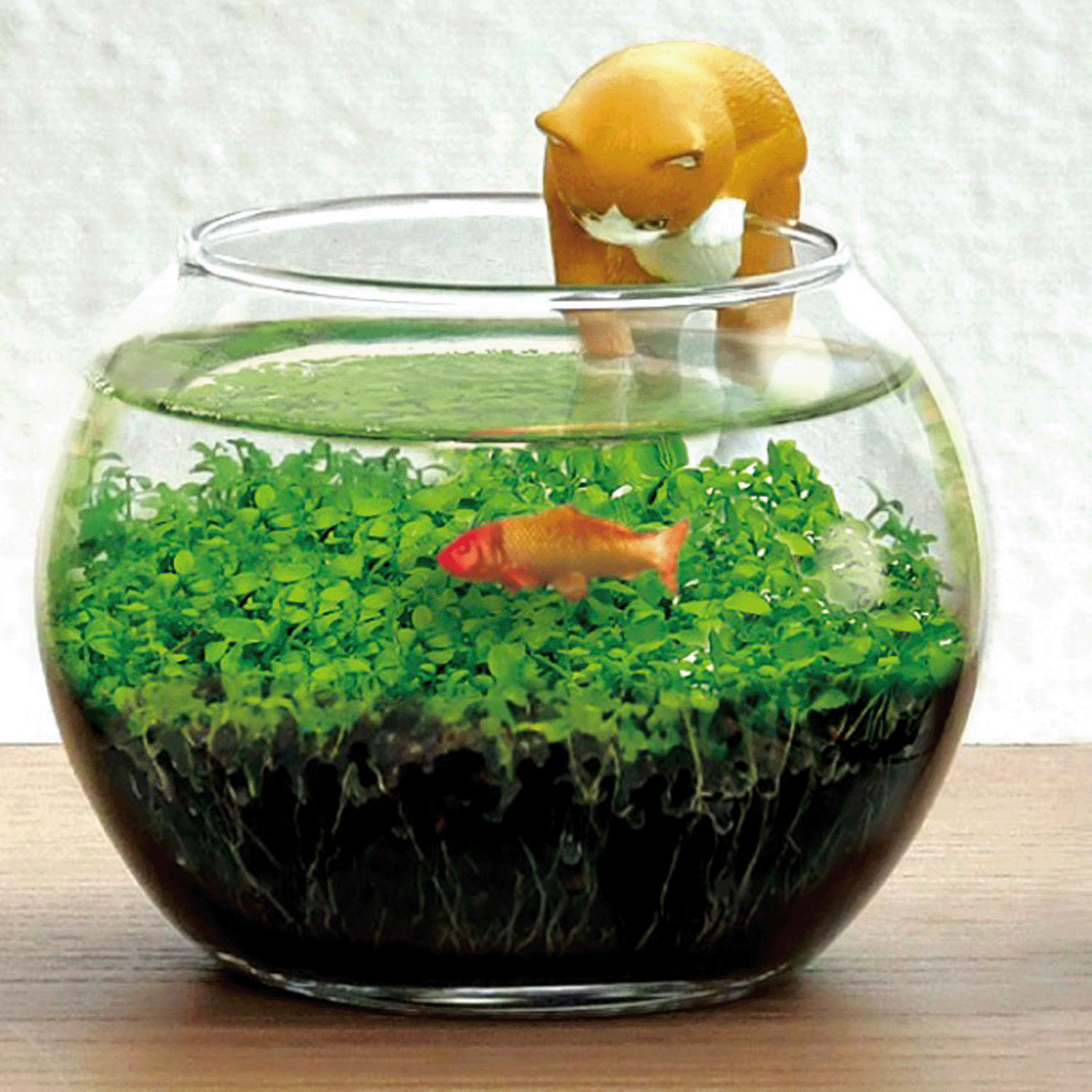 栽培セット じゃれ猫水草鉢