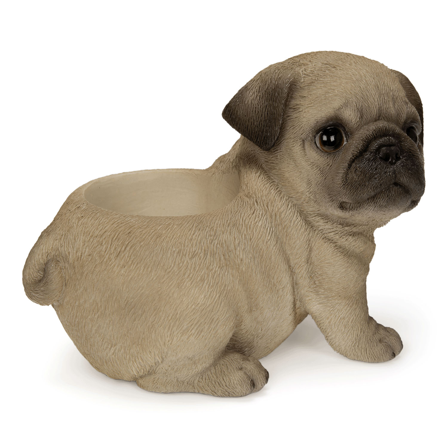 お座りプランターシリーズ  子犬・子猫 - 画像22