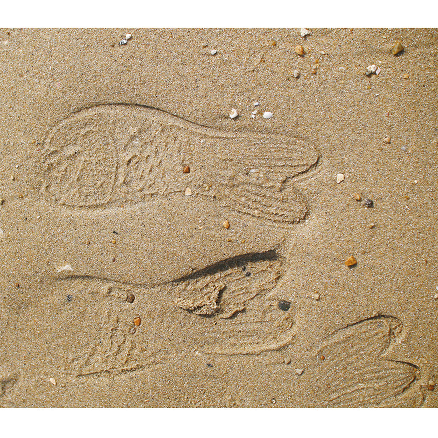 金魚サンダル - 画像9