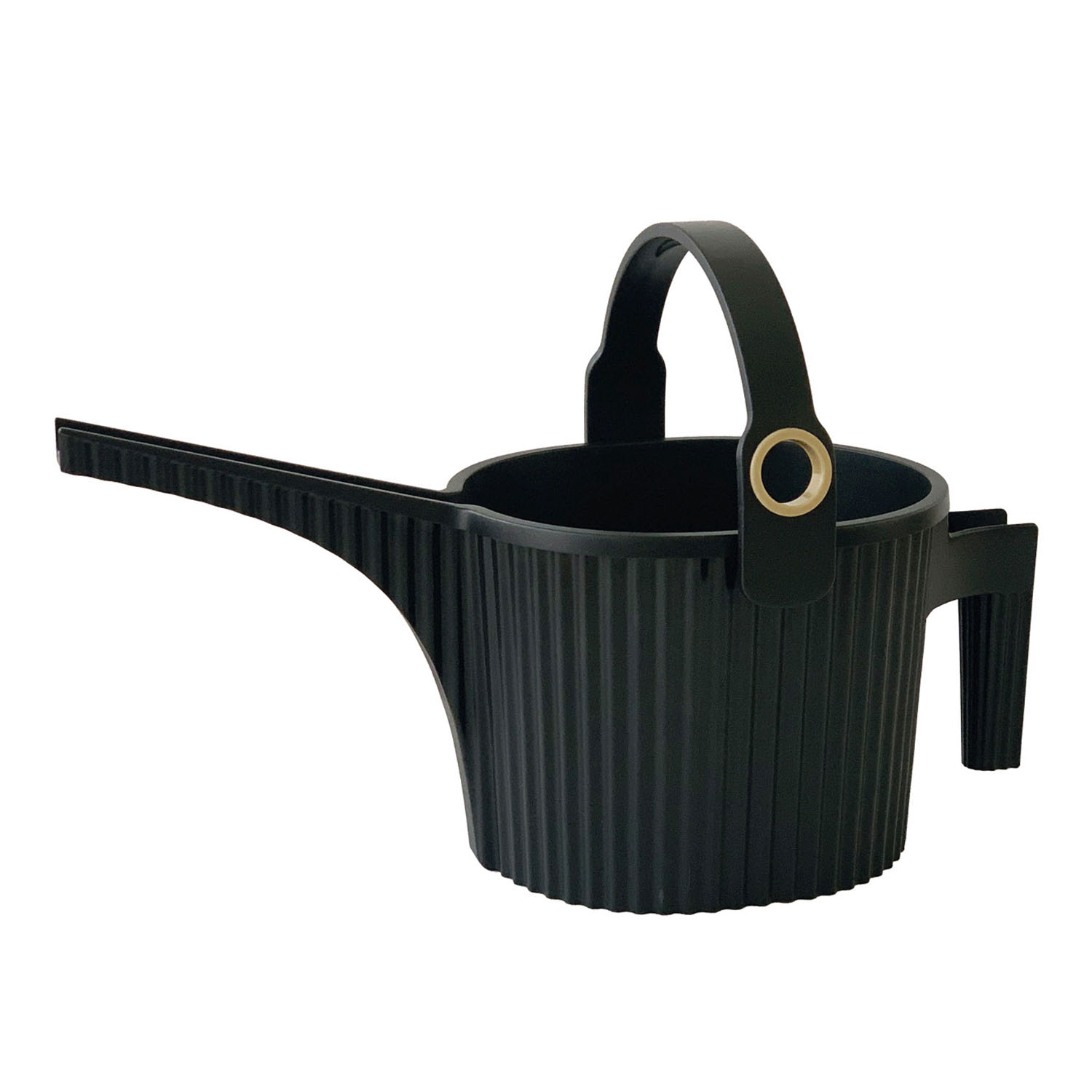 ガーデンビートル - 画像3