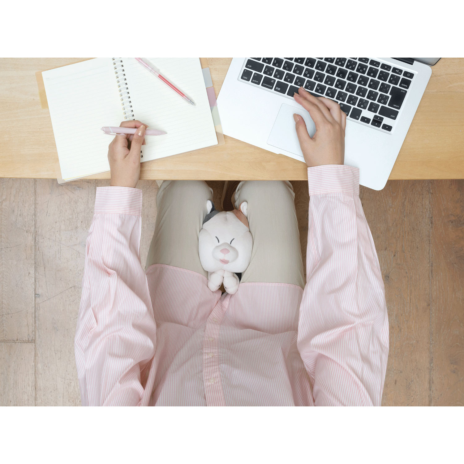 すきまあにまるずー ムギュッション しらたま - 画像10