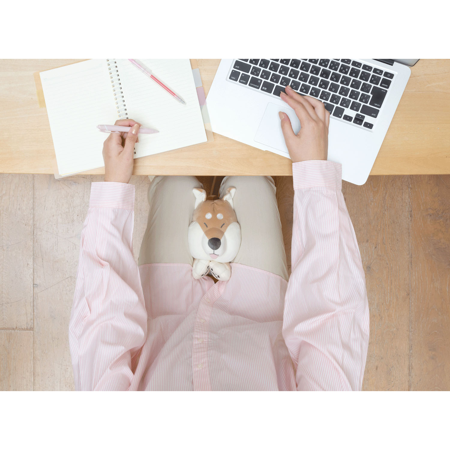 すきまあにまるずー ムギュッション わらび - 画像10